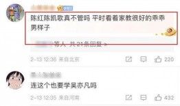 陈飞宇爆料后续视频,揭秘事件真相与幕后故事